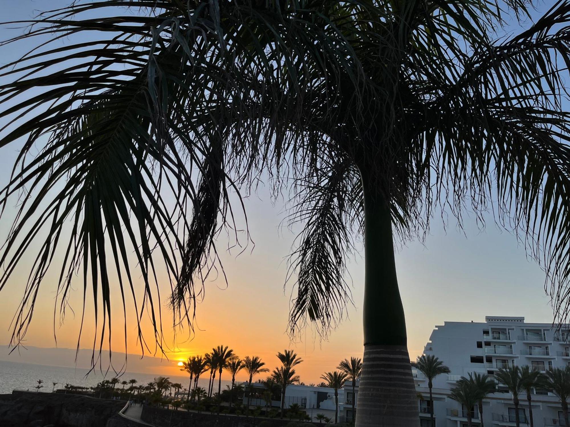 Ocean View Apartment In Club Paraiso, Pp139 アデヘ エクステリア 写真